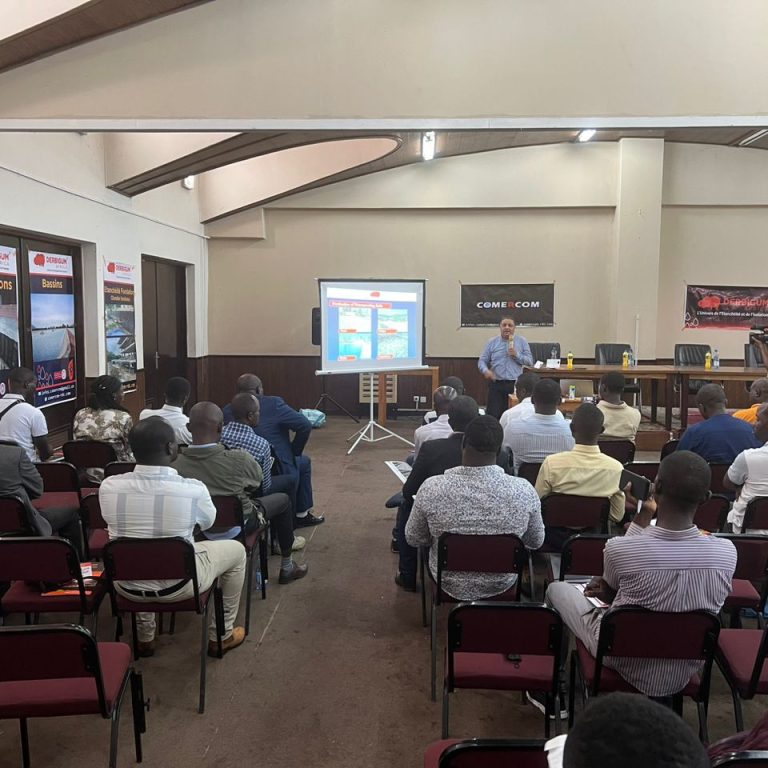 Journée de formation pour la Corporation Nationale des ingénieurs BTP [ CNirs BTP ] – RD Congo